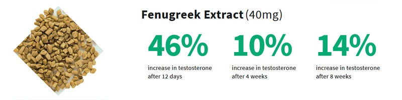 Fenugreek Extract