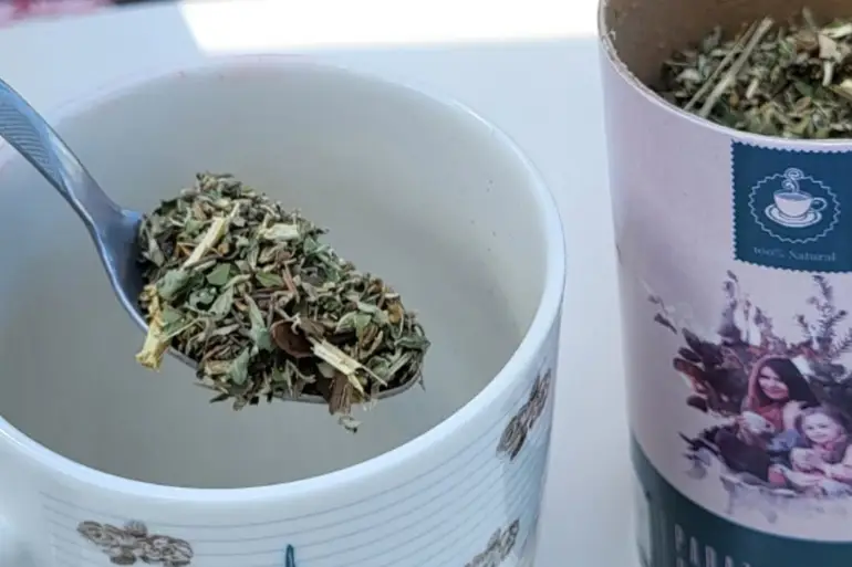 parazol iskustva parazol iskustva